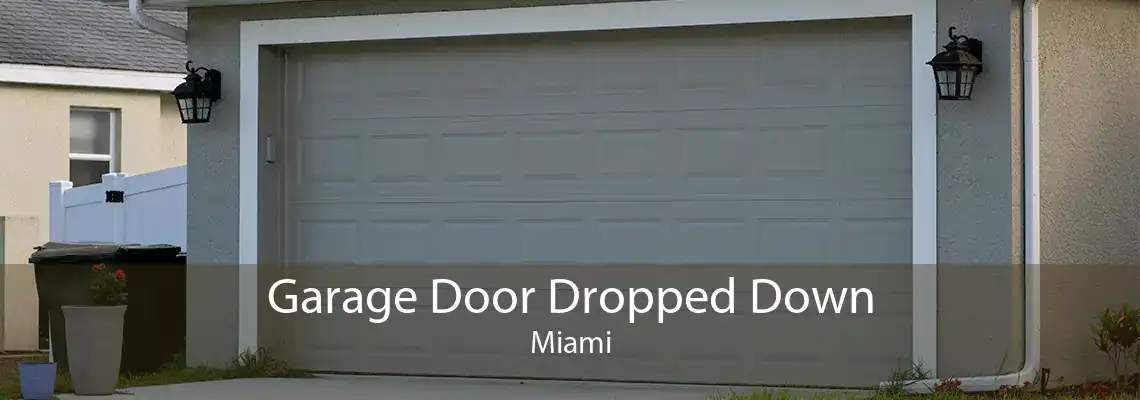 Garage Door Dropped Down Miami