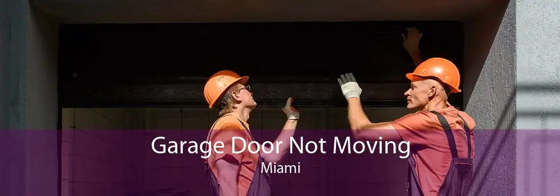 Garage Door Not Moving Miami