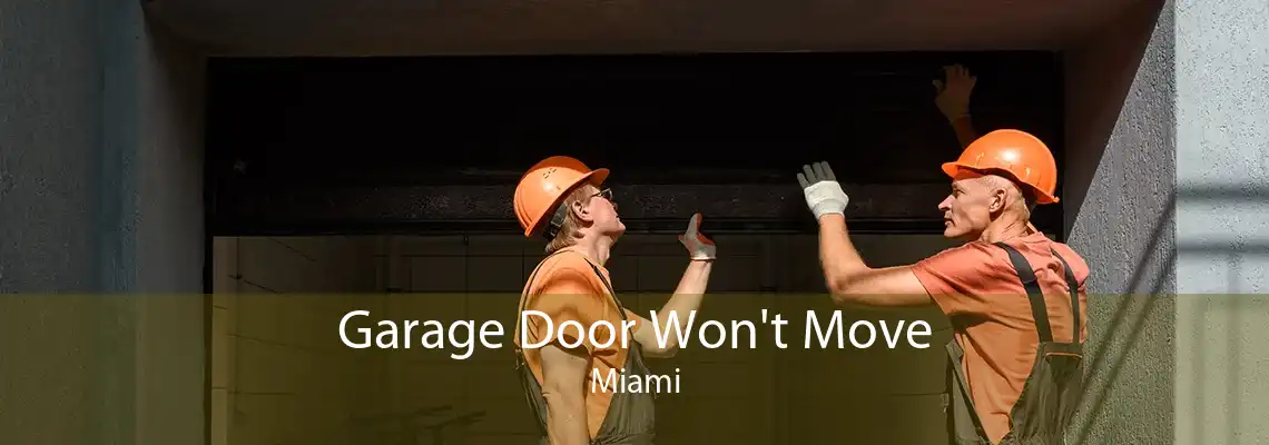 Garage Door Won't Move Miami